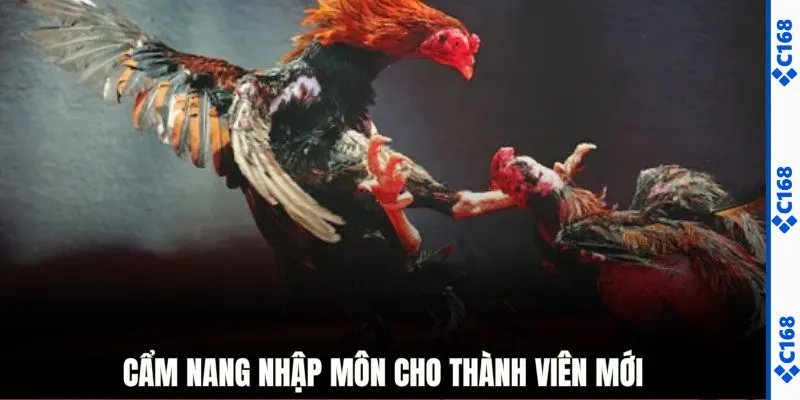 Cẩm nang nhập môn cho thành viên mới